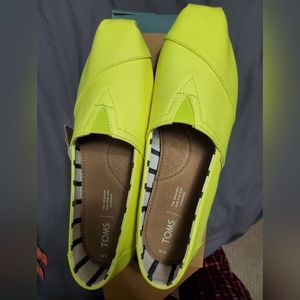 Brand new Toms